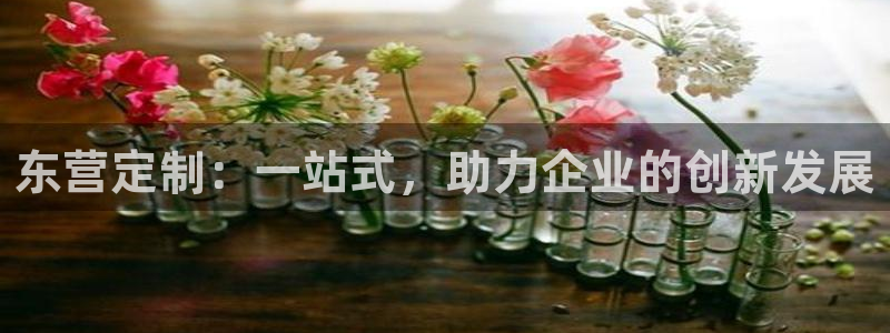 天辰 娱乐 注册:东营定制:一站式,助力企业的创新发展