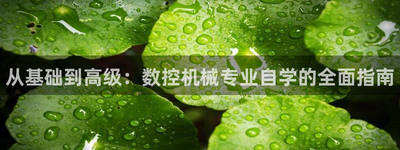 天辰 娱乐:从基础到高级:数控机械专业自学的全面指南