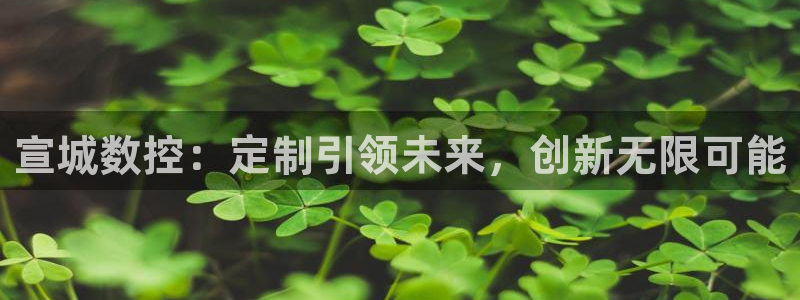 天辰娱乐棋牌:宣城数控:定制引领未来,创新无限可能