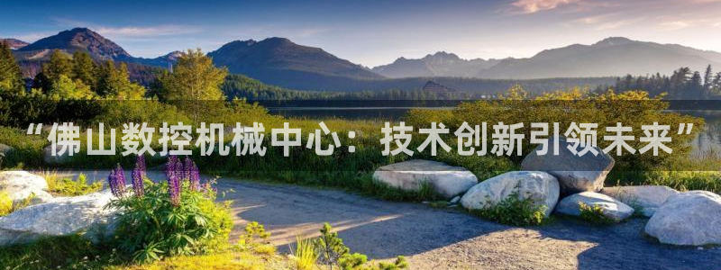 天辰娱乐在线:“佛山数控机械中心:技术创新引领未来”
