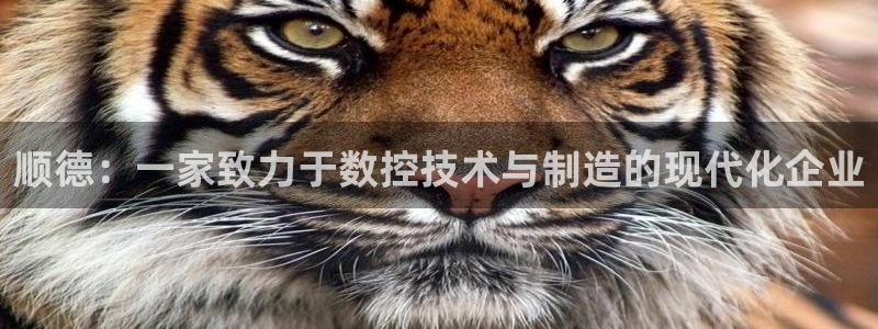 天辰娱乐线路:顺德:一家致力于数控技术与制造的现代化企业