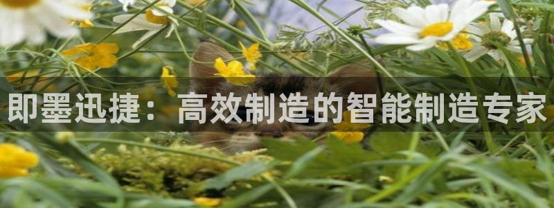 天辰娱乐1956:即墨迅捷:高效制造的智能制造专家