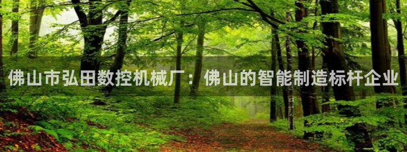 天辰在线娱乐:佛山市弘田数控机械厂:佛山的智能制造标杆企业