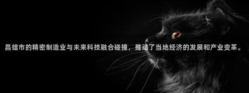 天辰娱乐黑人:昌雄市的精密制造业与未来科技融合碰撞,推动了当地经济的发展和产业变革。