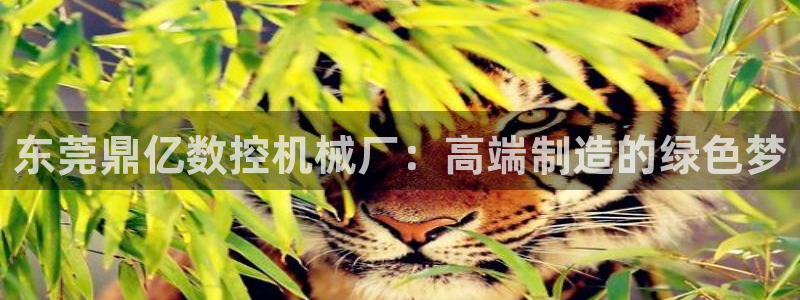 天辰娱乐视频:东莞鼎亿数控机械厂:高端制造的绿色梦