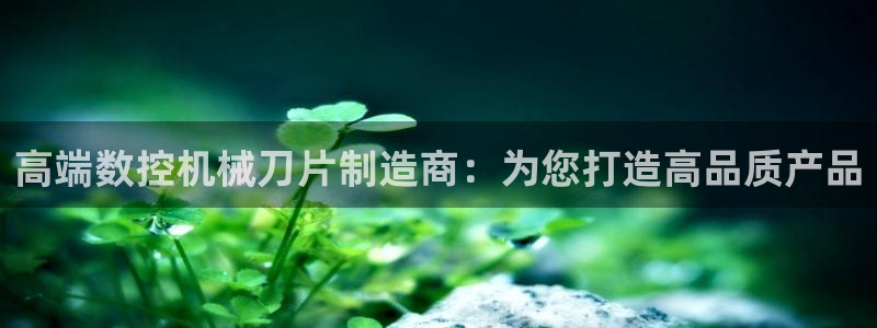 天辰平台娱乐:高端数控机械刀片制造商:为您打造高品质产品