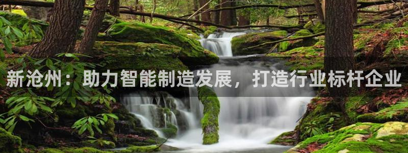 天辰娱乐娱乐平台:新沧州:助力智能制造发展,打造行业标杆企业