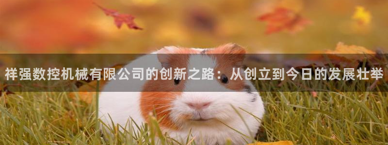 天辰娱乐元宝:祥强数控机械有限公司的创新之路:从创立到今日的发展壮举