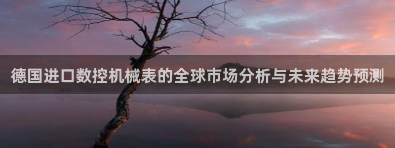 天辰娱乐1996:德国进口数控机械表的全球市场分析与未来趋势预测