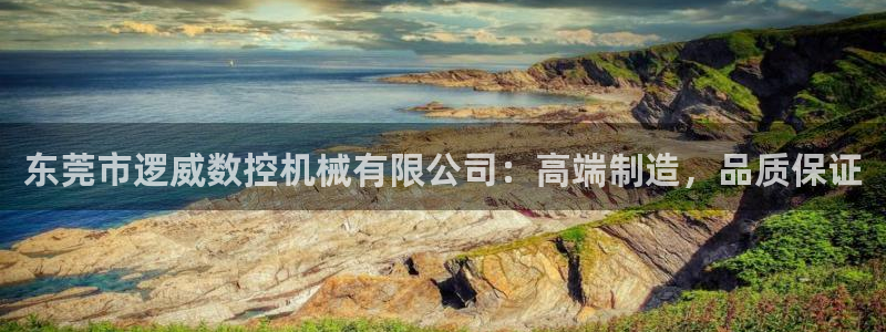 天富天辰娱乐:东莞市逻威数控机械有限公司:高端制造,品质保证