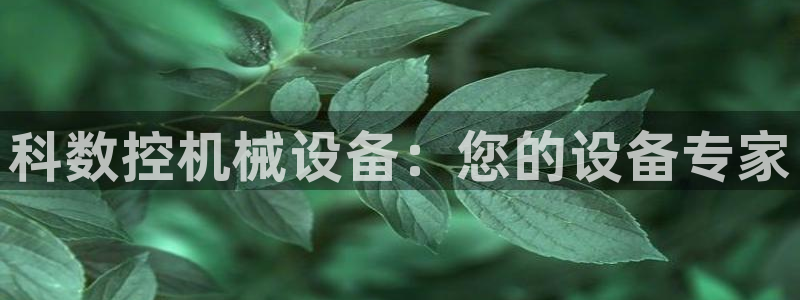 天辰娱乐平台app下载:科数控机械设备:您的设备专家