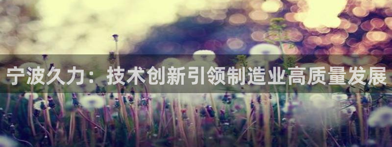 天辰娱乐欢乐:宁波久力:技术创新引领制造业高质量发展