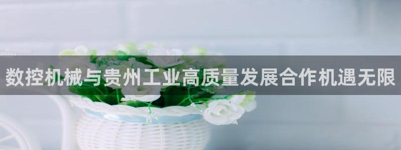 天辰娱乐主页:数控机械与贵州工业高质量发展合作机遇无限